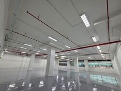 Lam Soon Industrial Building (D23), Factory #608447671